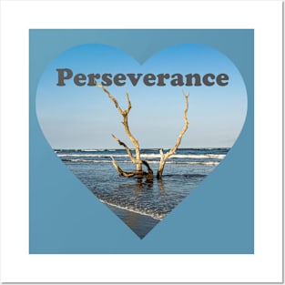 Driftwood Tree Perseverance Posters and Art